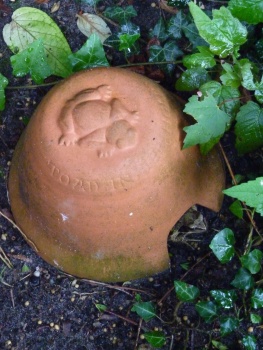 Toad in the Hole